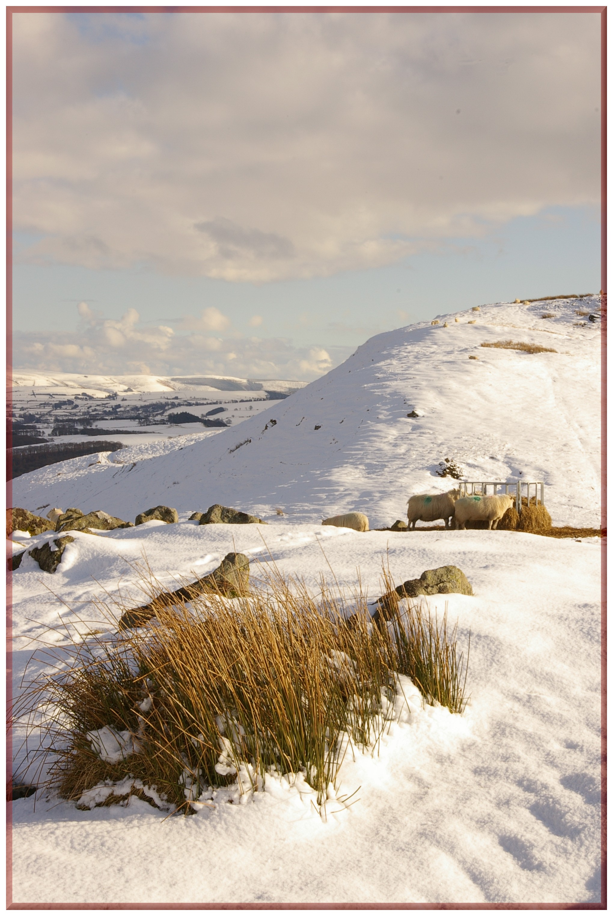 WINTER FORT Bill Bagley Photography